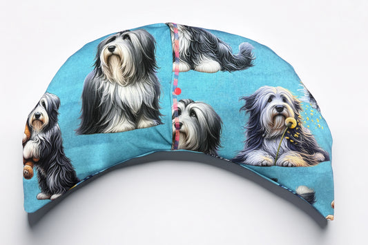 Entspannungskissen Bearded Collie – Vorderseite mit Collie und Teddybär auf Türkis